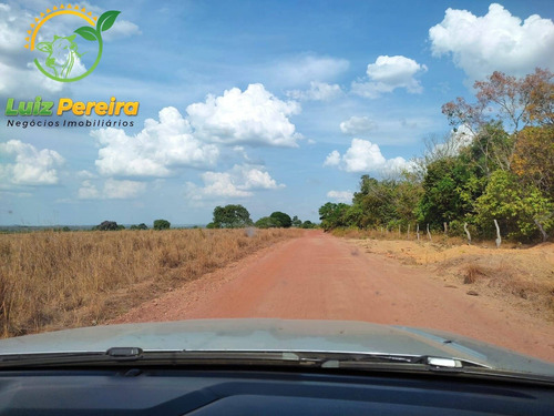 Imagem 7 de 12 de Fazenda À Venda Em Abreulândia - Pa - 1.427,8 Hectare (dupla Aptidão) - 2038