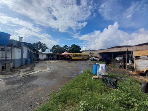 Imagen 3 de 6 de Venta De Locales Comerciales Y Fabrica Carretera Nacional La Raiza