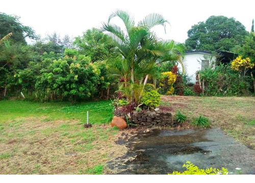Venta Casa Campestre Amueblada 1 Habitación 860 M² El Triangulo Tuxpan Ver