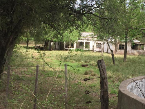 Imagen 6 de 13 de Campo - San Javier