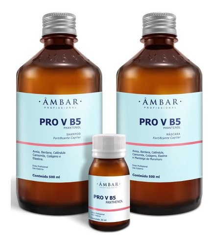 Kit Fortalecimento Capilar Pro V B5 Phanenol 500g