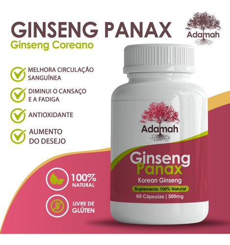 1 Pote Foco Mental E Alta Performance Panax Coreano 500mg Panax