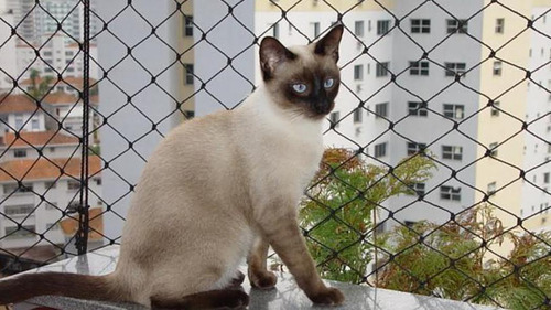 Sistema Anti Fuga Para Gatos - Kit 4 Hastes + Rede Proteção