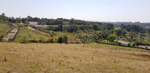 Imagem 9 de 15 de Terreno À Venda, 20000 M² Por R$ 1.600.000,00 - Água Espraiada (caucaia Do Alto) - Cotia/sp - Te9001