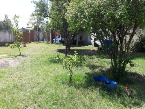 Imagem 9 de 13 de Vende - Se Essa Chacara No Parque Dante Marmiroli - Sumare/sp. - Ch0032 - 70446406