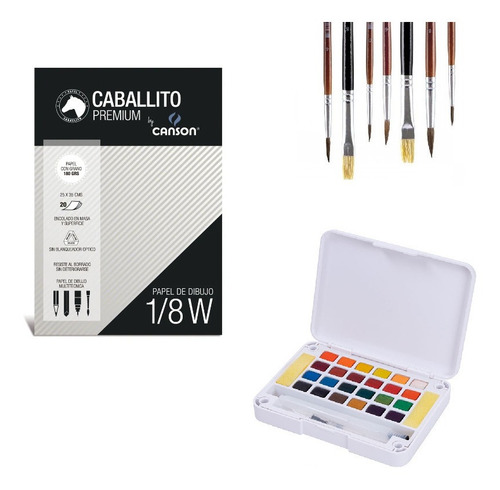Imagen 2 de 9 de Kit De Acuarelas Profesionales X24 + 7 Pinceles + Block