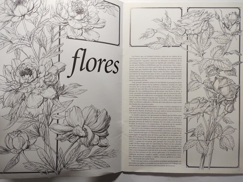 Flores . Colección Leonardo 22 (Usado)
