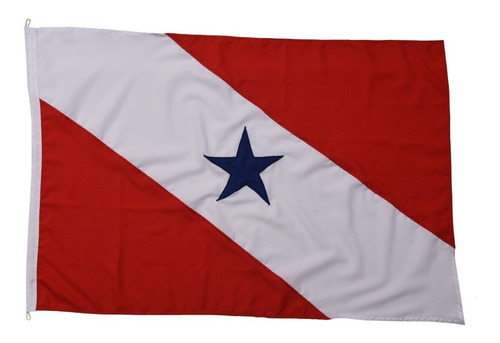 Bandeira Oficial Do Pará Tam 90x129cm