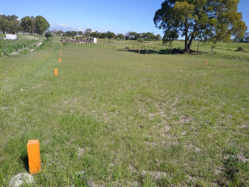 Imagen 7 de 13 de 720m2 A Orilla De El Lago Valsequillo
