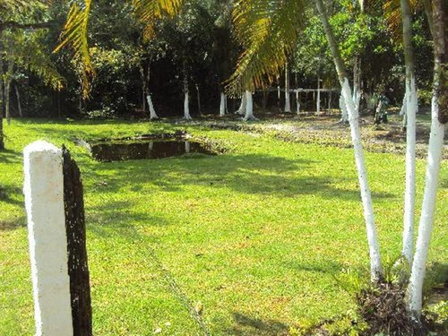 Imagem 17 de 22 de Bela Chácara Com Lago Em Itanhaém, No Balneário Gaivota, Com 2.522 M² De Área Total Ref: 0537/ac