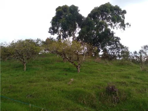 Lote En Vender En La Ceja