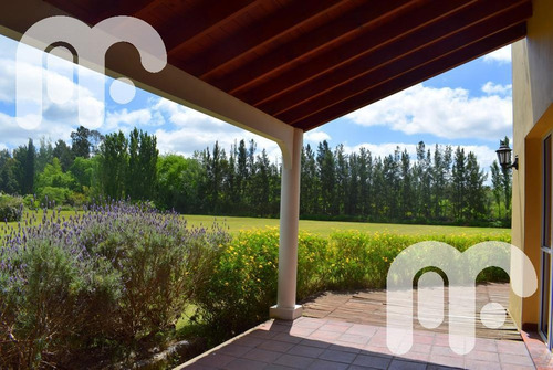 Imagen 3 de 24 de Venta Casa En Campos De Roca