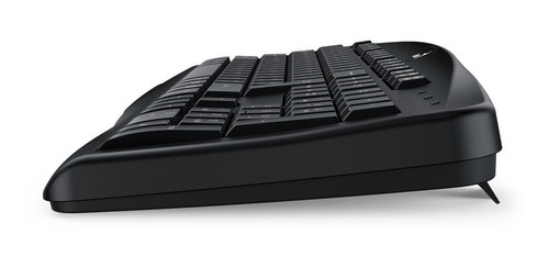 Teclado Genius Ps2 Kb-118 Black