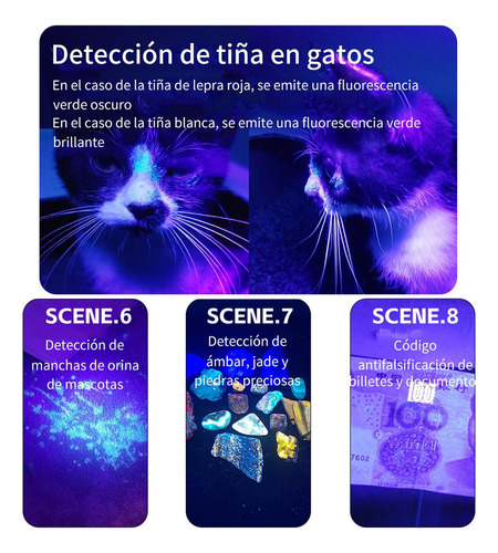 6pcs Linterna Uv Portátil Detector Billetes Falsos
