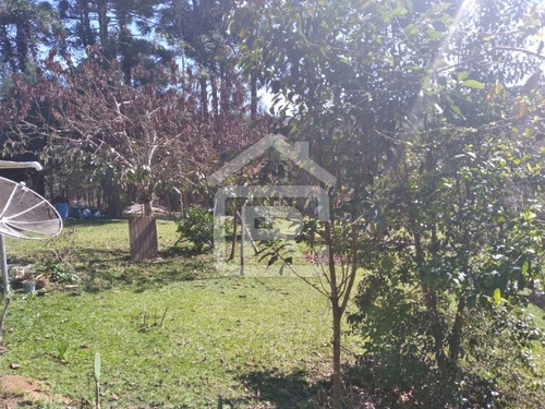 Imagem 22 de 30 de Linda Chacára Com Boa Topografia E Piscina - 27 - 70055572