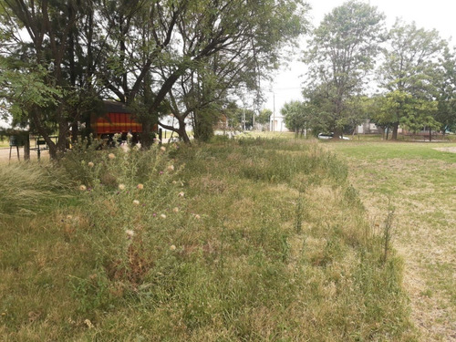 Imagen 7 de 20 de Terreno Esquina Céntrica Concordia, Los Charruas. Asfalto. Todos Los Servicios (400 M2).
