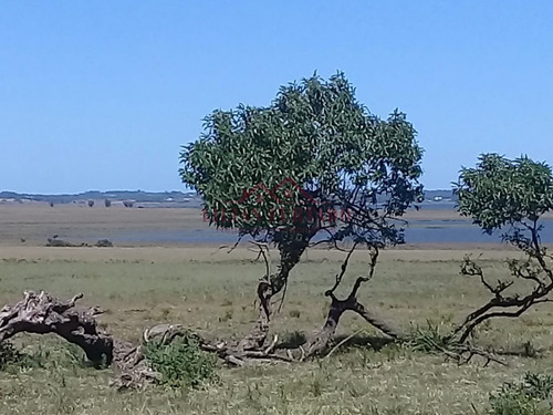 26 Has En Zona Laguna Jose Ignacio - Ref: 654