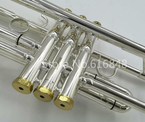 Instrumentos De Trompeta Bach Stradivar Tr-700gs En Si Bemol