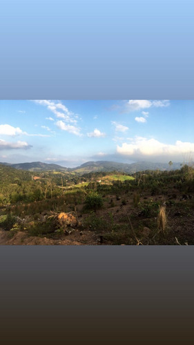 Imagem 12 de 18 de Ka - terreno Para Você Aposentado