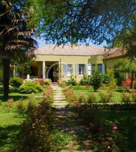 Imagen 2 de 17 de Sitio En Venta En Chépica Santa - Cruz Gran Vista