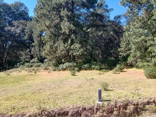 Imagen 4 de 7 de Terreno Con Excelente Ubicacion