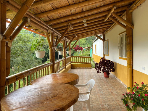 Imagen 3 de 30 de Venta Finca Buenavista 18 Cuadras
