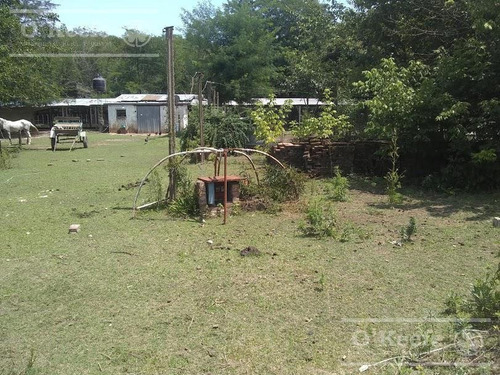Imagen 3 de 16 de Chacra En Venta De 1.5 Has Ideal Criadero Productivo - A 500 Mts De Ruta N° 215 - Brandsen