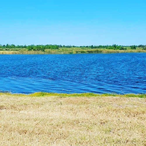 Imagen 20 de 30 de Terreno - Amarras
