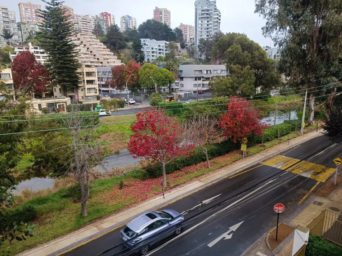 Imagen 4 de 21 de Vendo Departamento 3 Dormitorios Estacionamiento Reñaca Park