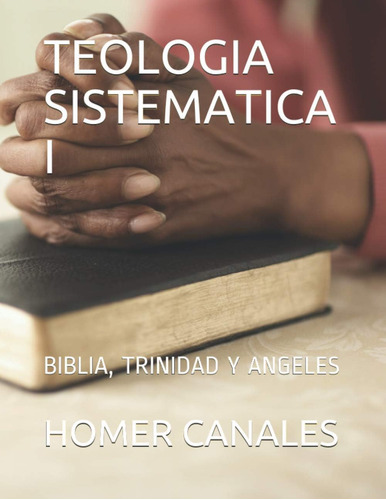 Libro: Teologia Sistematica I: Biblia, Trinidad Y Angeles (s