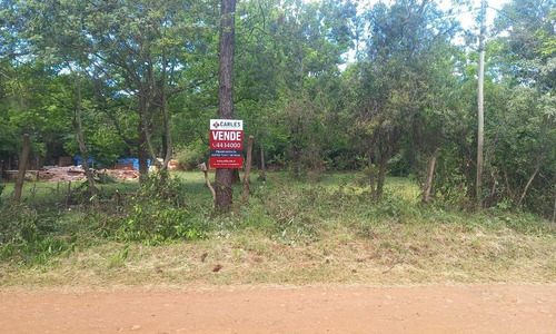(cod. 319) - Hermoso Lote Acceso Oeste - Barrio Tacuaritas