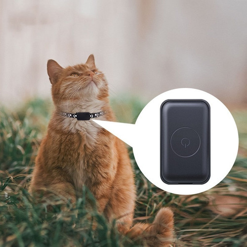 Coleira Gps Gato Cachorro Cães Rastreador P13