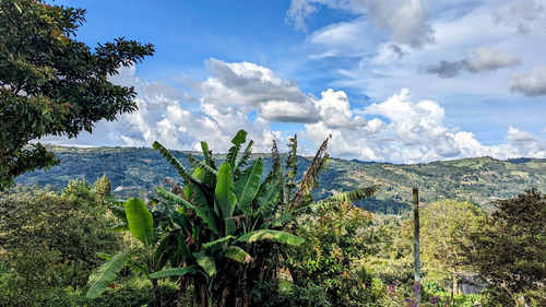 Imagen 17 de 29 de Finca Para La Venta En Guarne Vereda El Sango 620 M²