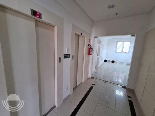 Imagem 2 de 21 de Sala Para Aluguel Em Cambuí - Sa006056