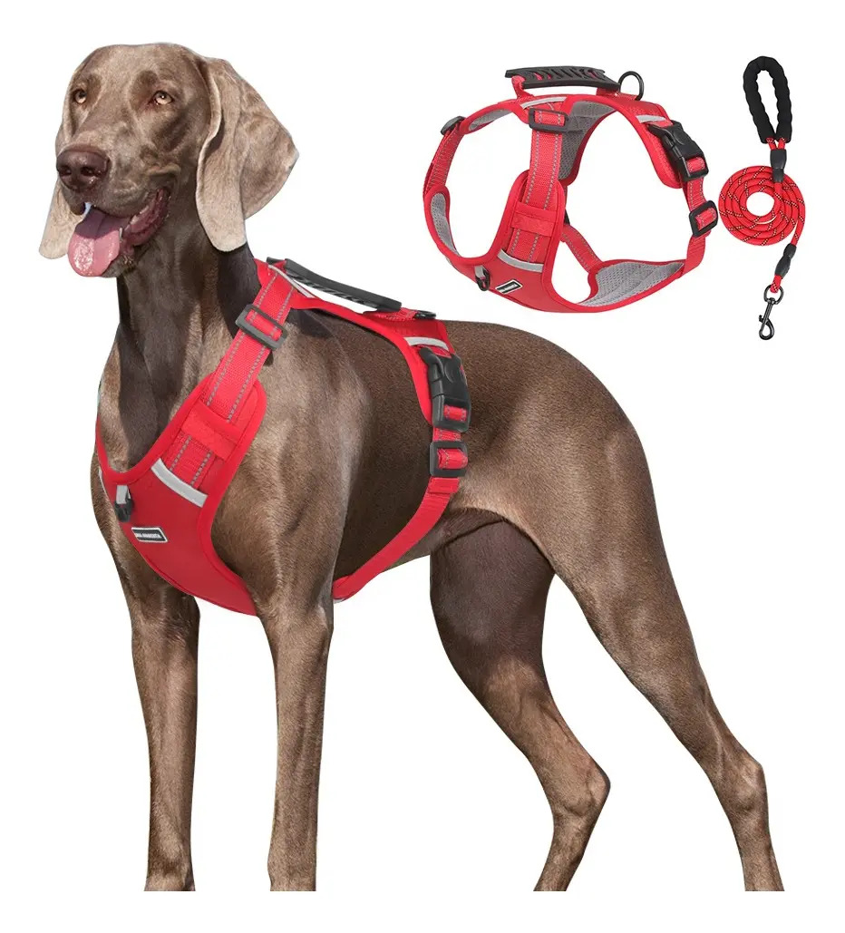 Arnés de Seguridad Ajustable para Perro Grande Rojo con Correa G Max 80cm