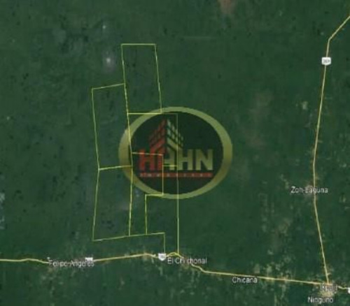 Campeche Calakmul Terreno Rustico En Venta