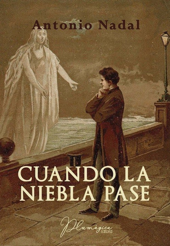 Cuando La Niebla Pase, De Nadal Sánchez, Antonio. Plumágica Grupo Editorial, Tapa Blanda En Español