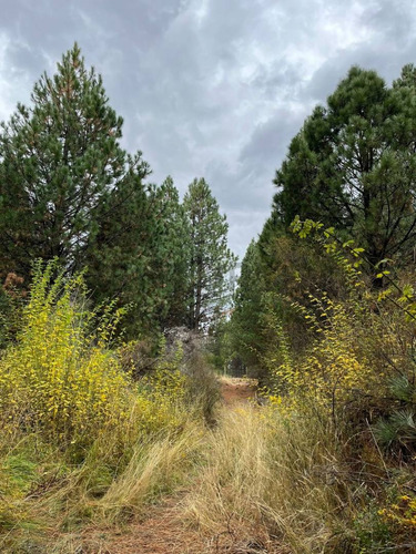 Venta Lote Con Costa Rio Quilquihue A 20 Minutos De San Martin De Los Andes