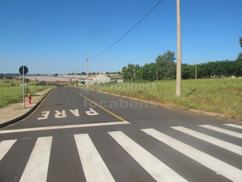 Imagem 4 de 9 de Terrenos - Ref: V3315