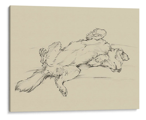 Canvas Lab Cuadro Perro Cansado Iii 160x120, Ethan Harper