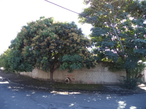Imagem 3 de 4 de Terreno Murado Com Leve Aclive 308m2, Em Barão Geraldo - Te00432 - 69696337
