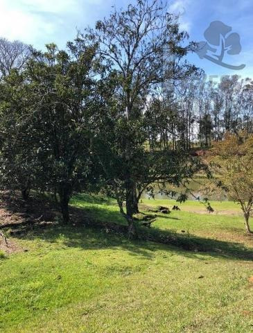 Imagem 11 de 12 de Cod - 5529 - Sitio Em Piedade - 5529