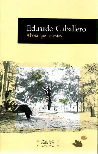 Ahora Que No Estãâ¡s, De Caballero Martínez, Eduardo. Editorial Crealite, Tapa Blanda En Español