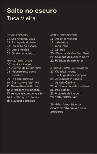 Salto No Escuro - 1ªed.(2020), De Tuca Vieira. Editora N-1 Edições, Capa Mole, Edição 1 Em Português, 2020