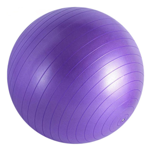 Bola De Pilates Funcional Exercicios Pilates Fisioterapia Cor Roxo