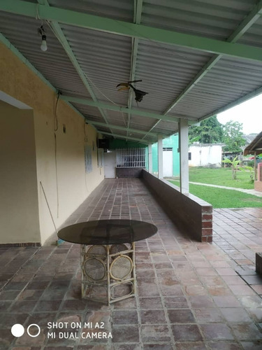 Imagen 11 de 12 de Finca En Venta A Orilla De Carretera, Sector Montalbán Sabaneta Bejuma