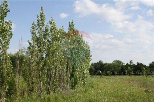 Imagen 18 de 30 de Lote 430m2 Ribera De Andino - Escritura Inmediata
