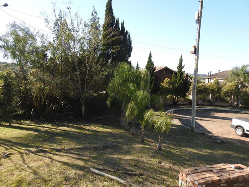Imagem 20 de 30 de Terreno Gigante 1600 - 35519v