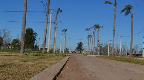 Barrio Abierto El Molino. Terreno De 630 M2