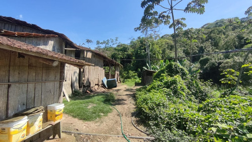 Imagem 8 de 19 de Linda Chacara No Bairro Santa Catarina Com 39.160 M² | Fácil Acesso A Br 101 - Sa01728 - 68879324